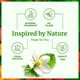 thumbnail image 3 of Aceite esencial SVA ORGANICS Manuka 10 ml 100% natural, 3 of 7