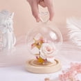 thumbnail image 3 of Glass Display Dome Cloche with Wood Base Heart Glass Dome Cover Decorative Jars Display Case Cloche Bell Jar Terrarium for Flower Storage Home Christmas Party Favor Decoration, 3 of 9