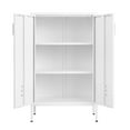 thumbnail image 3 of Metal Storage Cabinet With 2 Doors And 2 Adjustable Shelves, Metal Cabinet, Garage Storage Locker, File Cabinet For Home Office Garage Kitchen Shop, 3 of 9