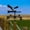 Black, variant on Darzheoy Vintage Iron Weathervane， Metal Farmhouses Weathervane，， Antique Roof & Garden Wind Direction Indicator with Rustproof Coating for Farmhouses， Barn， Patio Decor， Black