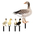 thumbnail image 1 of Duck Decor Realistic Life-like Ornamental Double-sided Printing Rustic Acrylic Garden Poultry Statue for Yard, 1 of 7