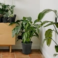 20 Gallon Flexible Nursery Pots Gallon Pot with Drainage Holes Plastic ...