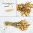 thumbnail image 7 of NOGIS 60pcs Dried Bunny Tail Flowers Pink Dry Grass Natural Dried Flowers Bouquet Wedding Dry Flower Bunch for Home Garden Party DIY Craft Farmhouse Table Decor (16 Inch,Natural), 7 of 7