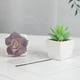 thumbnail image 2 of Inteprter 4 unids/set de plantas artificiales pequeñas en macetas de aire fresco en plantas artificiales de tamaño compacto para interiores en Decoración, 2 of 6