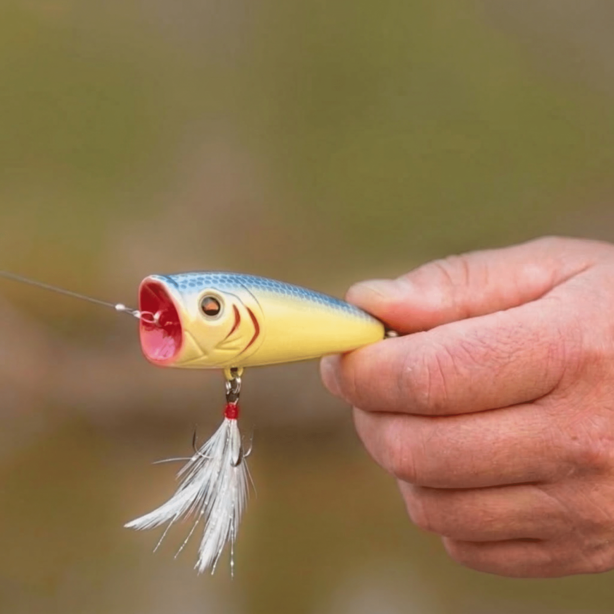 Ozark Trail Topwater Popper Fishing Lure – Bone