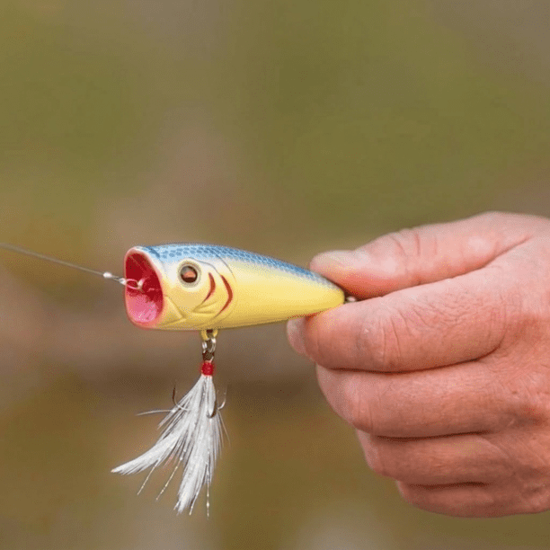 best cheap popper lure for bass Alwonder 5-Pack Fishing Lure, Fishing Top Water Lures Lures Feathered Treble Hooks Rooster Tail Plugs Hard Baits : Sports & Outdoors The Heddon Popn Image Topwater Popper also features an internal rattle system that enhances castability and adds another level of acoustic attraction to call fish out of their hiding places 6PCS 3.5cm/2.7g Wobbler Top Water