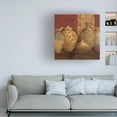 thumbnail image 2 of Trademark Fine Art 'Aegean Vessels Spice Extra Vessel Crop' Canvas Art by Avery Tillmon, 2 of 4
