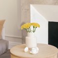 thumbnail image 1 of Hbdhejl Day Simulation Carnation Home Decoration Vase Flower Arrangement, 1 of 9