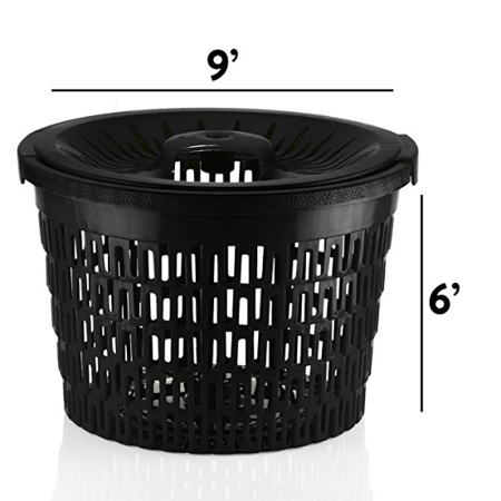 Fullstar Large Salad Spinner Lettuce Dryer - Easy Spin Salad Spinner