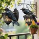 thumbnail image 5 of Acrylic Raven Hanging Decor | Gothic Crow Lantern Style Window Ornament, 5 of 5