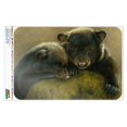 thumbnail image 1 of Black Bear Cubs Mossy Rocks Home Business Office Sign, 1 of 4