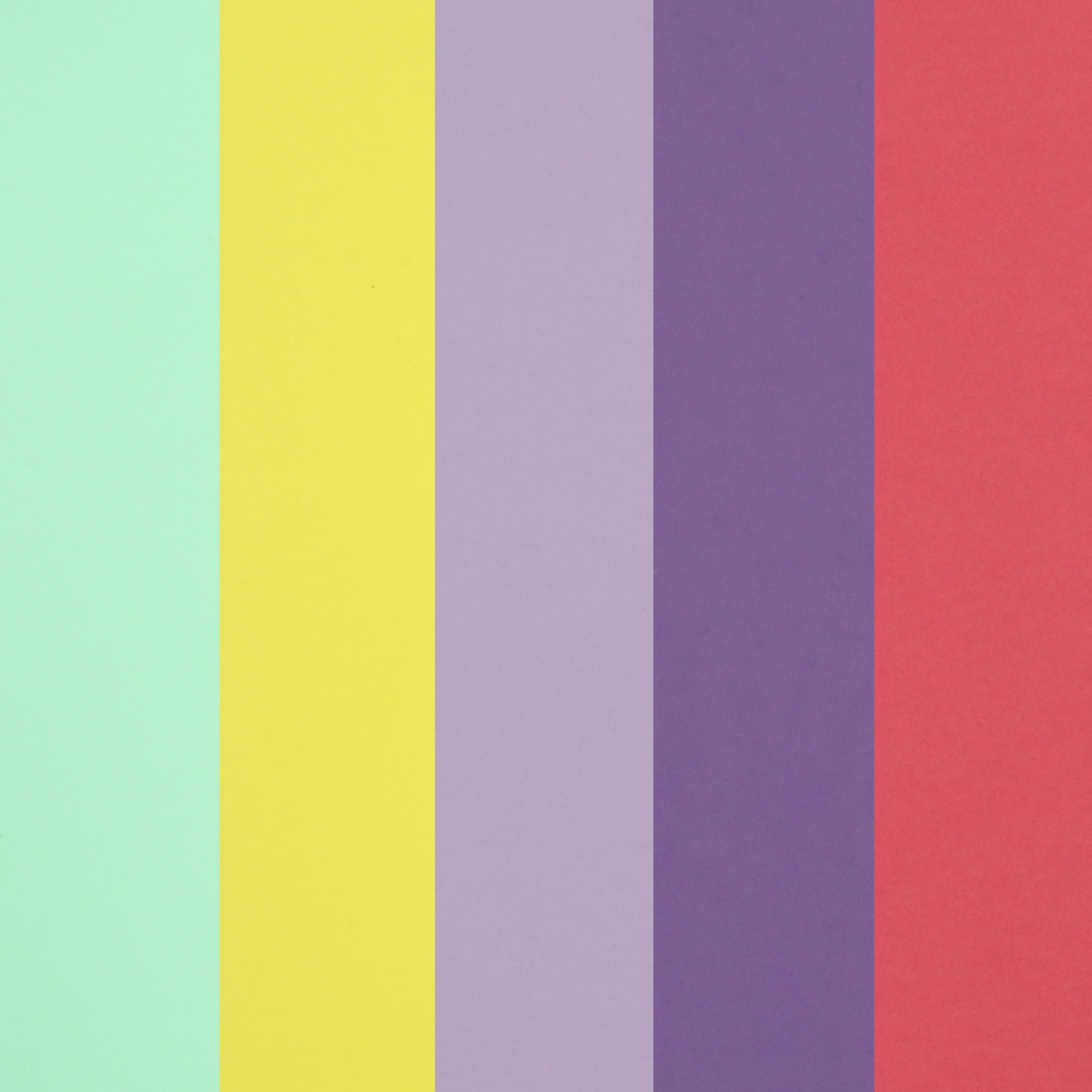 8.5" x 11" Blossom Cardstock Paper by Recollections - Acid and Lignin Free Paper for Scrapbooks - Arts & Crafts - 50 Sheets