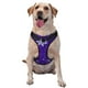 thumbnail image 1 of Fotbe Dark Purple Snowflakes Arnés para Perro con Estampado –Chaleco Ajustable Acolchado con Asa de Control para Perros Grandes-Medium, 1 of 6
