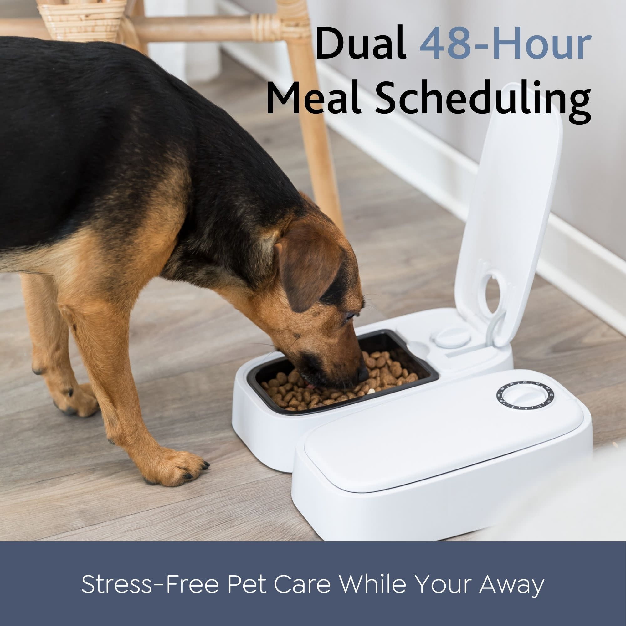 TRIXIE TX2 Automatic Food Dispenser, Two Timers and Bowls, 48 Hr
