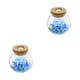 thumbnail image 4 of Bearachild Eternal Lantern - Forever Bright Colors Tratamiento de agua dulce Luminous Eternal Flower azul claro azul claro 2piezas, 4 of 6