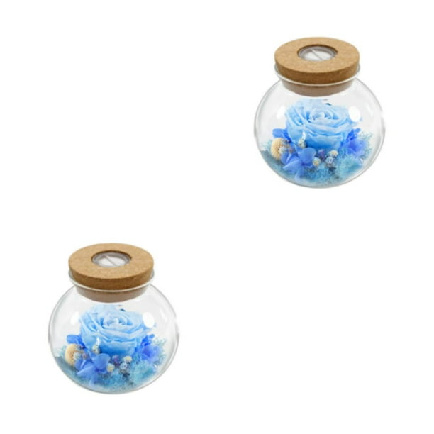 Injueey Flor eterna luminosa: exquisitas luces de colores autoajustables y flores verdaderas vivirán Type5 NO5