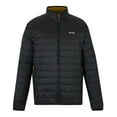thumbnail image 3 of Regatta Veste 3 en 1 pour Hommes, 3 of 7