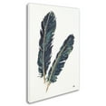 thumbnail image 2 of Trademark Fine Art 'Gold Feathers IV Indigo' Canvas Art by Chris Paschke, 2 of 3