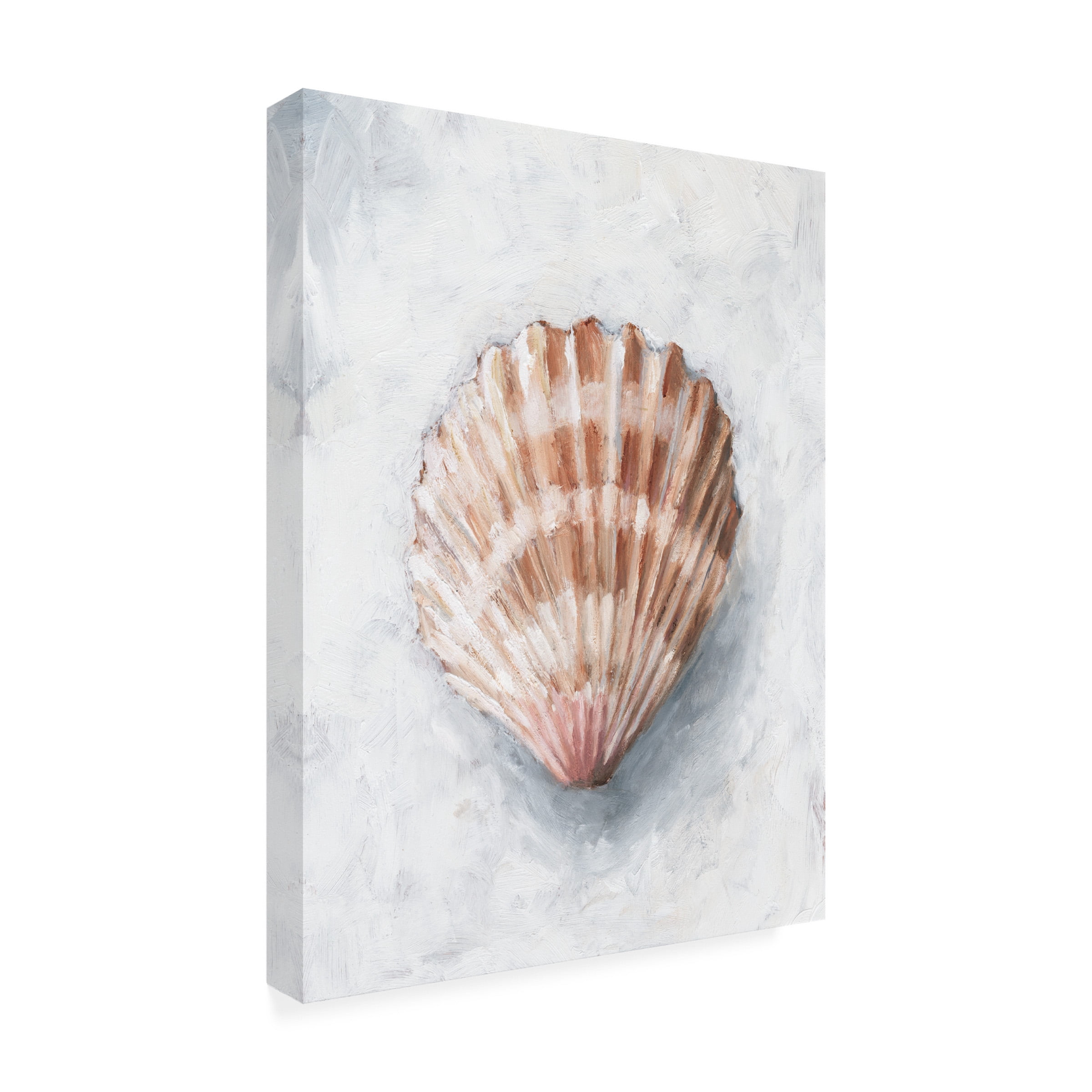 Ethan Harper 'White Shell Study IV' Canvas Art