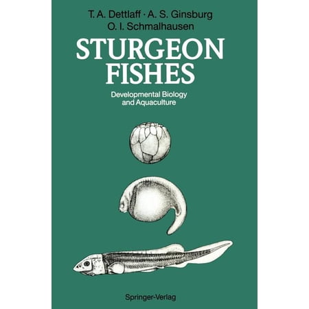 ISBN 9783642770593