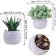 thumbnail image 2 of 4 piezas surtidas de plantas suculentas en macetas artificiales pequeñas Sedum Echeveria en macetas de cerámica de hormigón gris con patrón geométrico para regalo de recuerdo de fiesta, 2 of 3