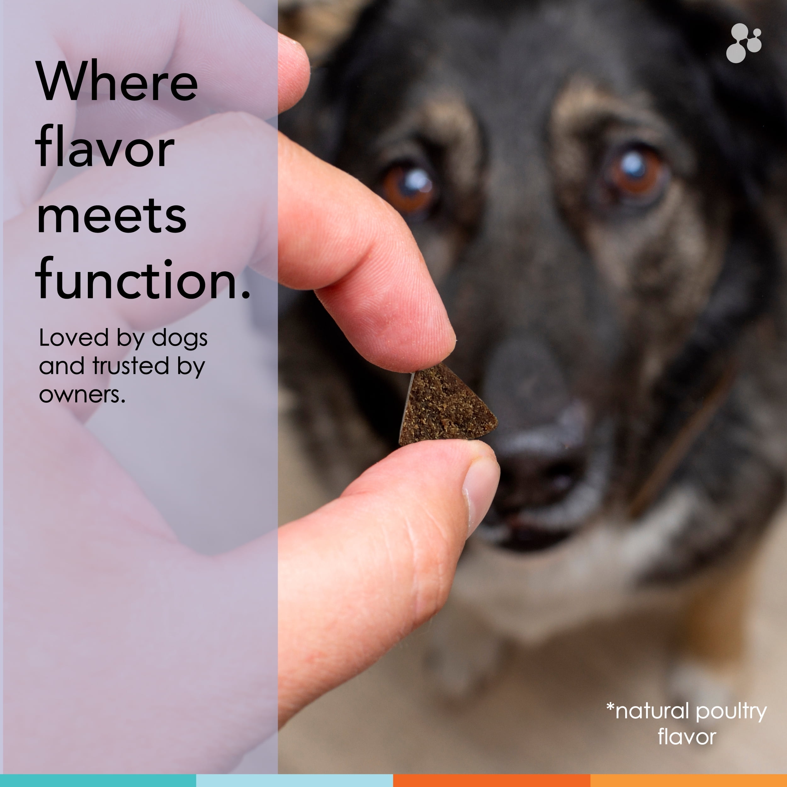 Calming Treats for Dogs : Qusera 90CT Soft Chews : Calm Anxiety Naturally