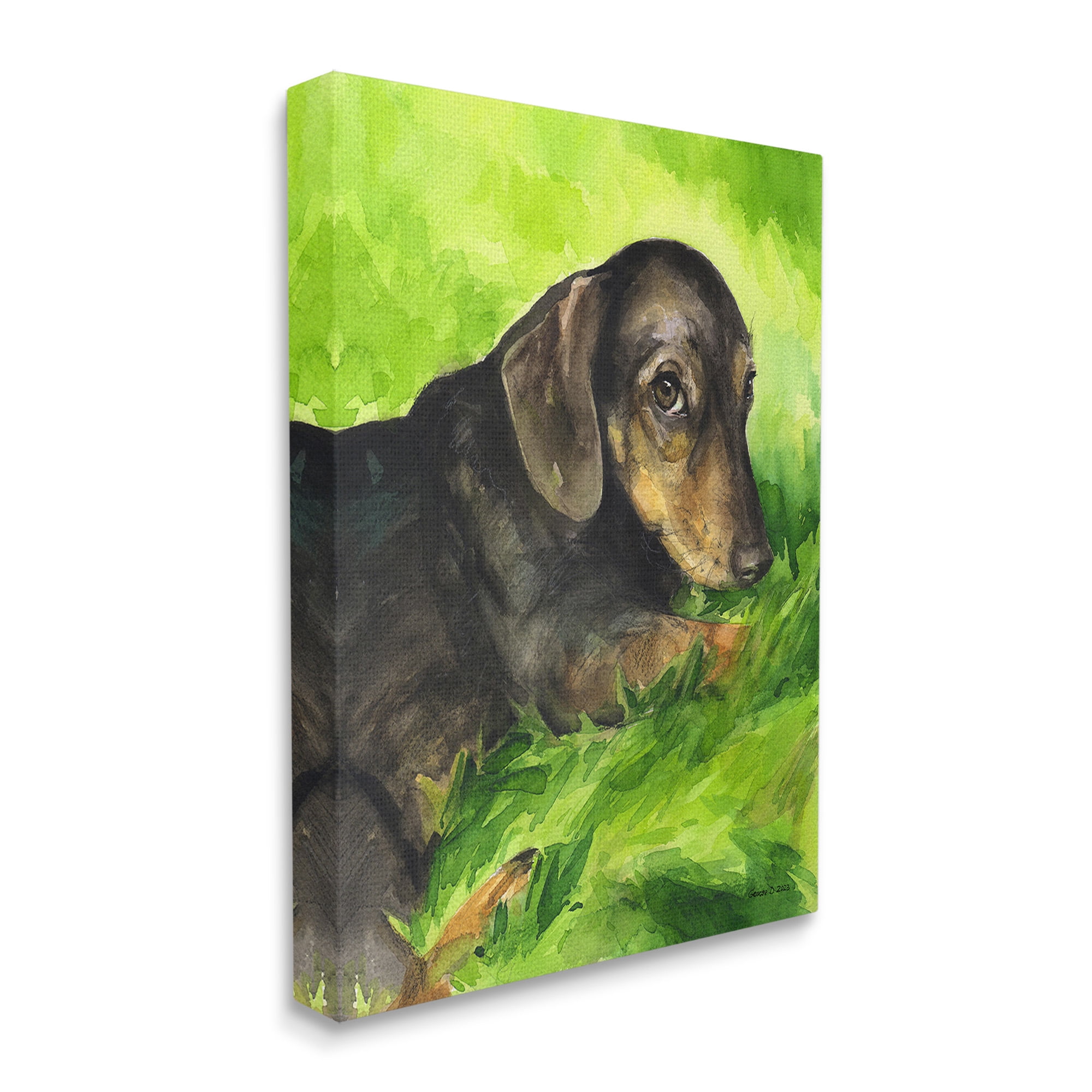 Stupell Industries Dachshund Relaxing in Grass Animals & Insects Painting Gallery Wrapped Canvas Art Print Wall Art, 16 x 20