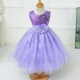 thumbnail image 2 of little Girls Cinderella Lace Princess Dress Pageant Ball Gowns Kids Tulle Flower Girls Dresses, 2 of 9