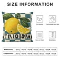 thumbnail image 5 of PHYHOO Hello Lemon Throw Pillow Covers, Spring Summer Cushion Case Decoration for Sofa Couch, 5 of 5