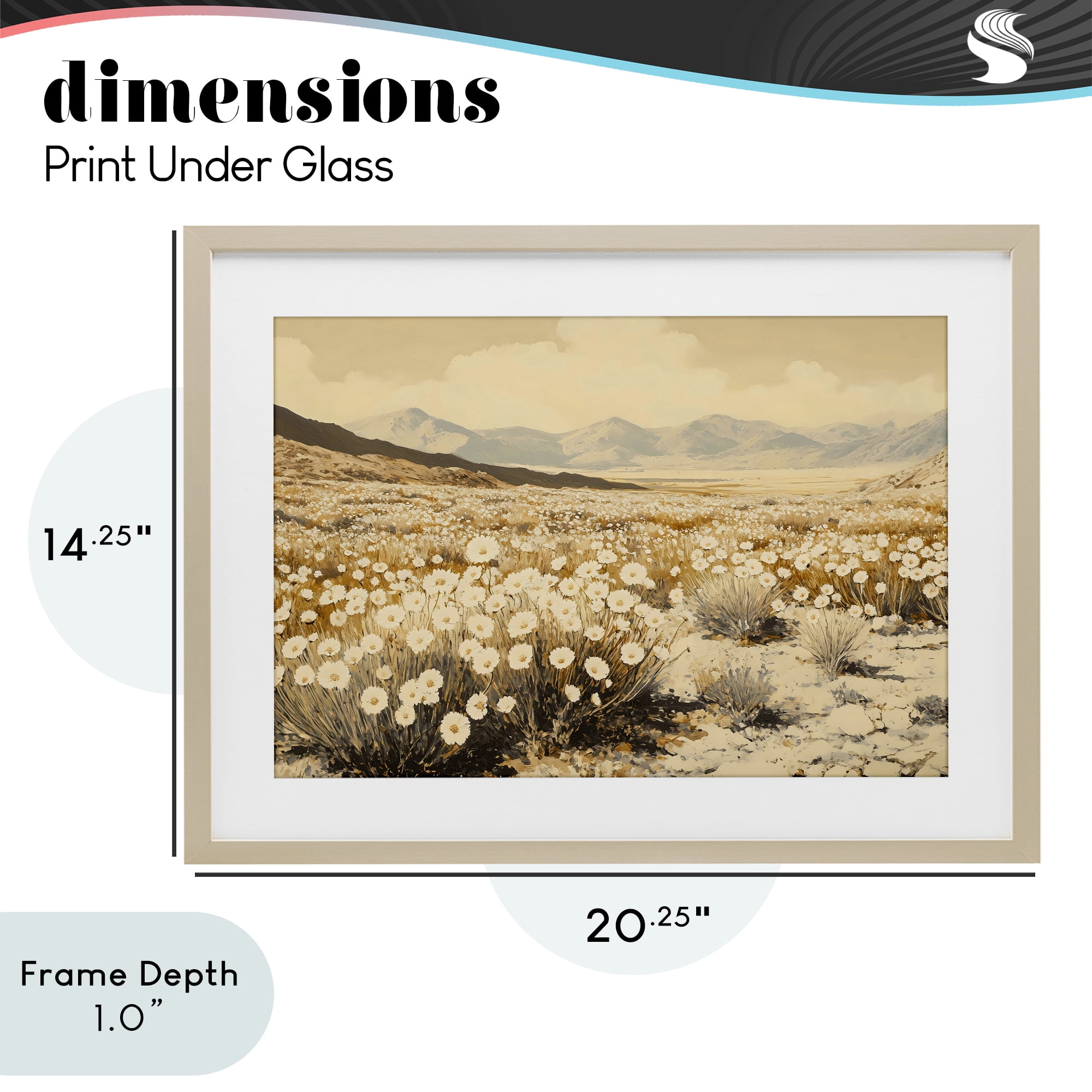 Stupell Industries Desert Wildflowers in Golden Valley Birch Framed Print Under Glass, design by Franklyn Gregory