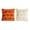 2PC-SMALL, variant on Fall Pillow Covers Pumpkin Fall Decor 18x18 Orange | Fall Decorations for Home, Plush Faux Fur Farmhouse Accent Pillowcases, Porch Sofa Couch Cushion Bed Livingroom 1PC
