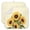 sunflower114, variant on 2 Pcs Sunflowers Dish Drying Mat - 18 X 24 Inch Floral Absorbent Microfiber Kitchen Counter Mat – Quick-Dry Dish Rack Alternative, Dish Drying Pad for Dishes, Cups, Utensils, Pots & Pans