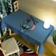 thumbnail image 4 of Mantel bonito de Disney Stitch para dormitorio de niños y adultos, mantel para mesa de oficina, mantel para mesa de café, armario para habitación, mantel decorativo, 4 of 4