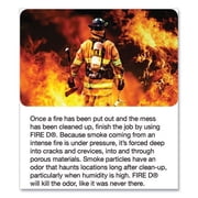 Fire D One Shot Aerosol, 5 Oz Aerosol Spray, 12/carton | Bundle of 2 Cartons