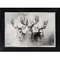 thumbnail image 6 of The Wild Bunch Light Mule Deer Print by Robert King, Mule Deer Trophy Bucks, Giant Bucks, Buck Print, Deer Poster, Racks, Cabin Woodland, 6 of 7