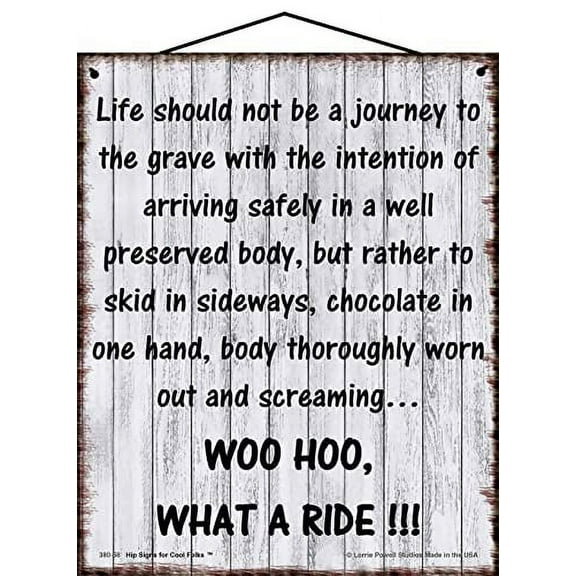 8x10 Vintage Style Sign - Life Quote Woo Hoo What a Ride - Enjoy Life Saying - Decorative Household Family Signs for your Home or Office