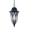 thumbnail image 1 of Three Light Outdoor Hanging Lantern, 1 of 1