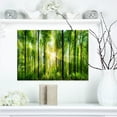 thumbnail image 1 of Design Art - Forêt avec Rayons de Soleil Panorama, 1 of 3