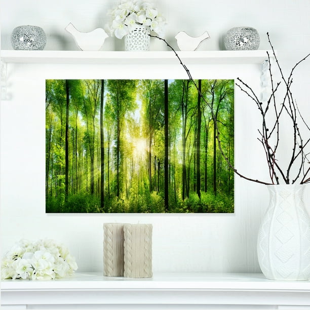 Design Art - Forêt avec des Rayons de Soleil Panorama