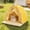 Yellow-Free Size/YE, variant on Semi Enclosed Summer Pet Tent Mosquito Proof Breathable Cat Dog Shelter Foldable Durable Polyester for Indoor Outdoor Camping Home Sleeping Area for Small Medium Dogs Cats Kittens Puppies Supplies