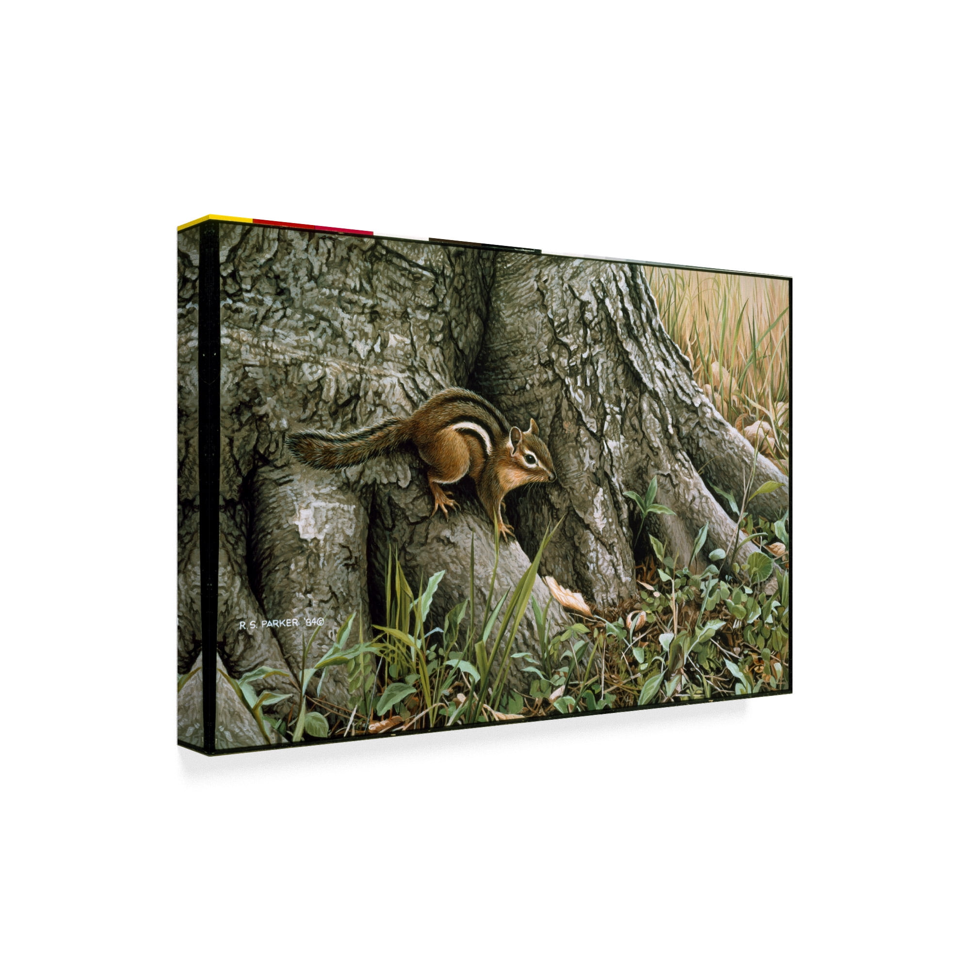 Trademark Fine Art 'Chipmunk Wary Glance' Canvas Art by Ron Parker