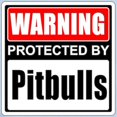 thumbnail image 2 of CafePress - Warning Pitbulls Body Suit - Baby Light Bodysuit, Size Newborn - 24 Months, 2 of 4