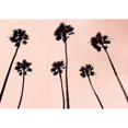 thumbnail image 2 of Palm Trees 1997 Copper Poster Print by Erik Asla, 2 of 2