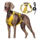 thumbnail image 1 of Pechera Arnés De Seguridad Para Perro Chico Mediano Y, 1 of 8