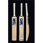 GM Octane F2 101 Cricket Bat