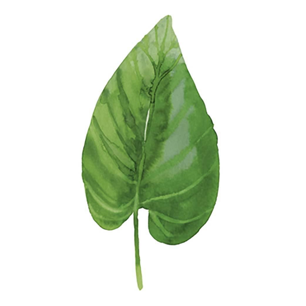 Feuille encadrée 11x14