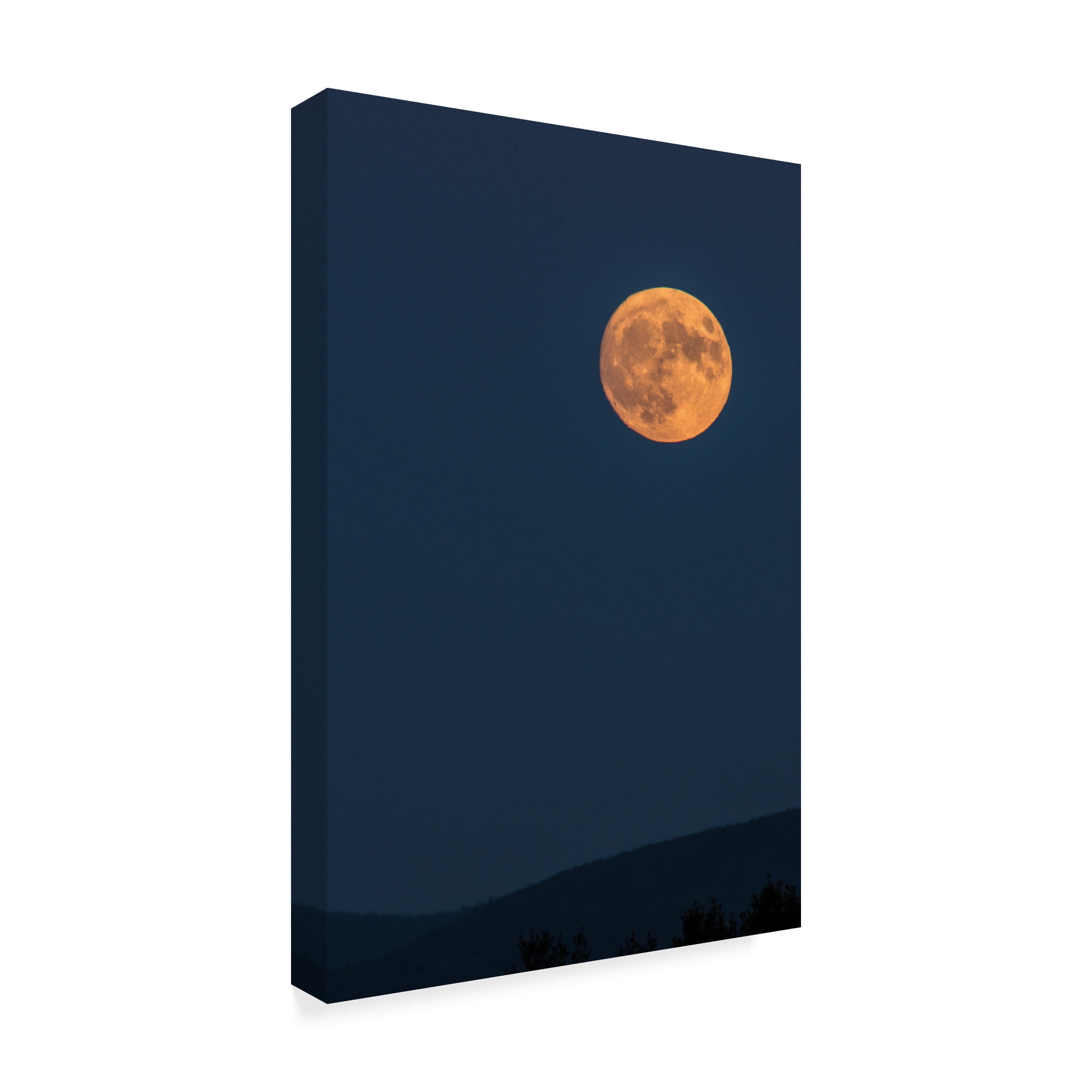 Trademark Fine Art 'Supermoon Rise Over Ridge' Canvas Art by Brenda Petrella Photography Llc