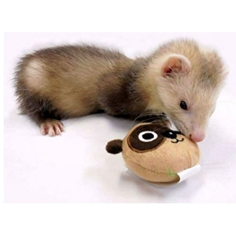 Ferret discount toys walmart