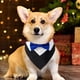 thumbnail image 3 of Pañuelo de boda para perro, Collar para perro con diseños de pajarita, Collar ajustable, pajarita Formal para perro Tux, 3 of 5