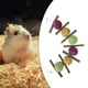 thumbnail image 4 of Juguetes para masticar conejo juguetes para hámster, conejillos de de natural, juguetes para masticar , juguetes con de Colco pelota de ejercicio para hámster, 4 of 8
